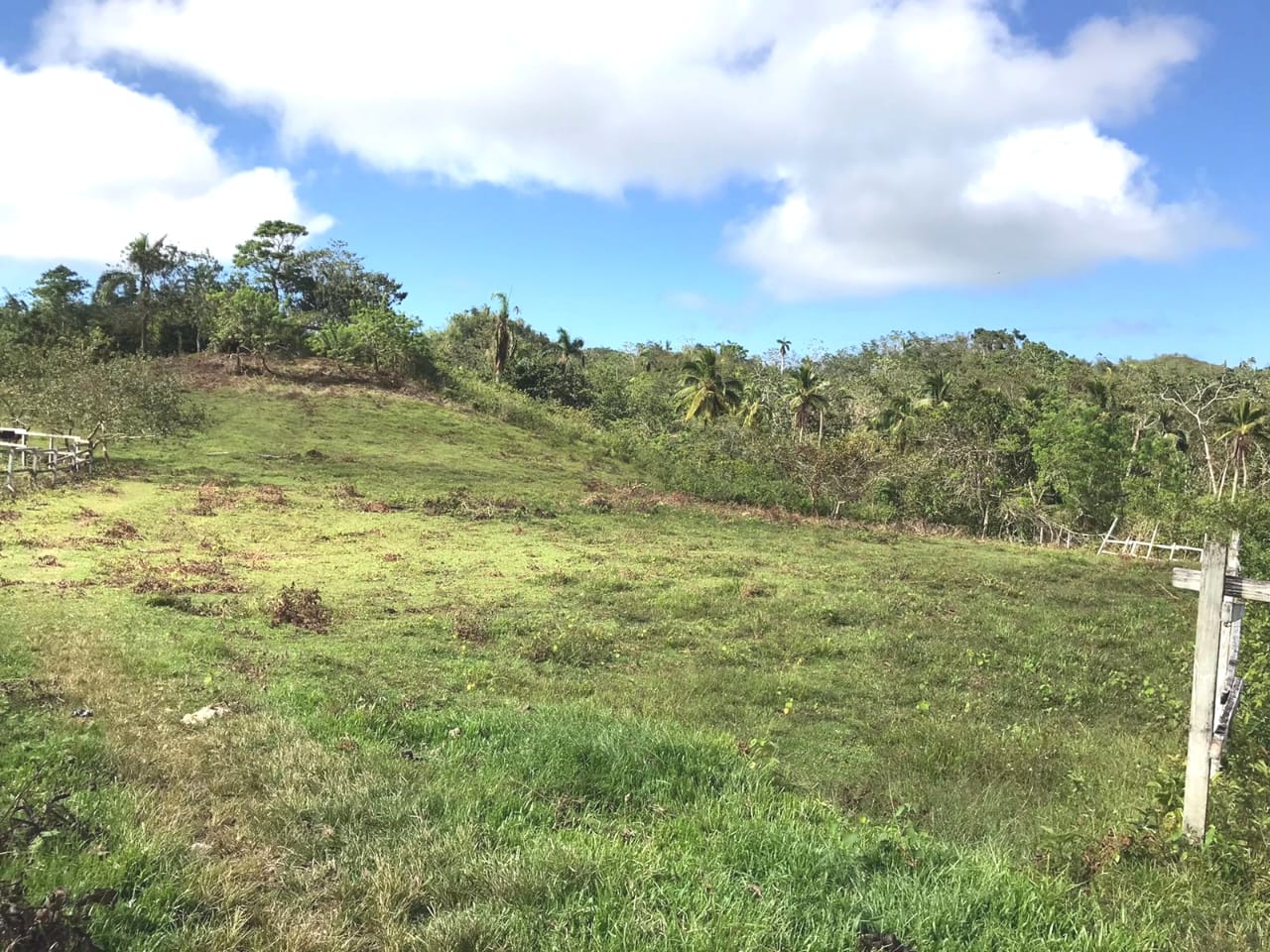solares y terrenos - Terreno en venta 190.930.00mt2  en la Guazara sama 2