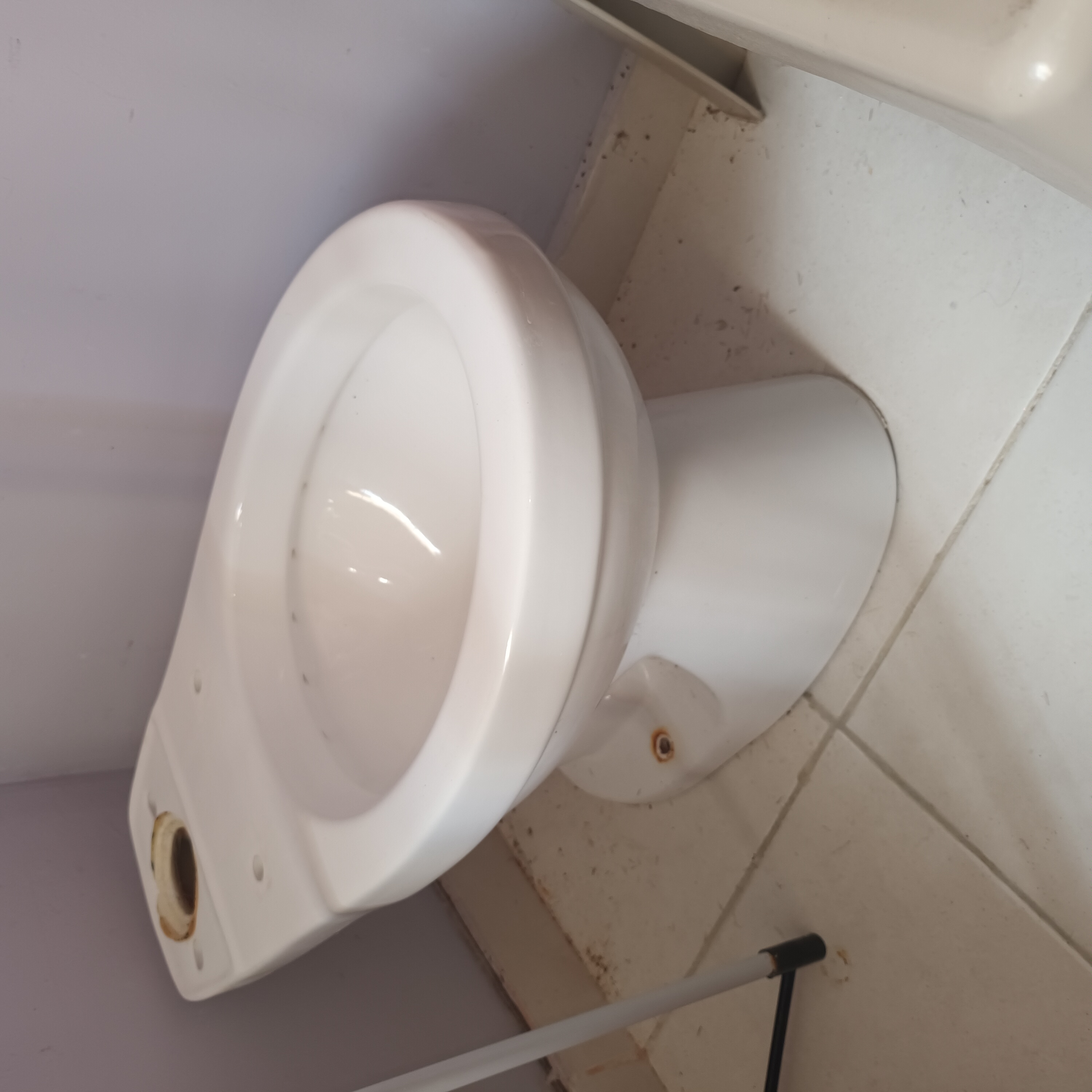 decoración y accesorios - Inodoro