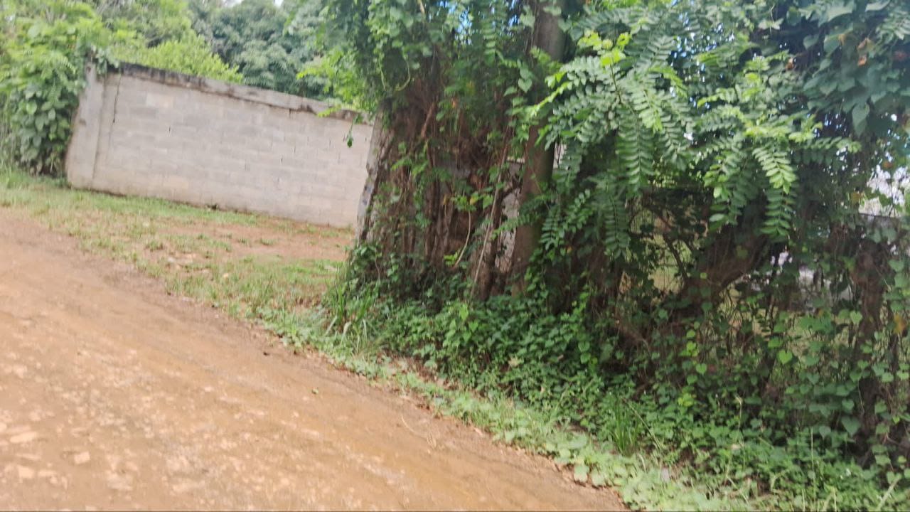solares y terrenos - Finca en Venta en Don Juan de 25 Tareas de Oportunidad 📌 4
