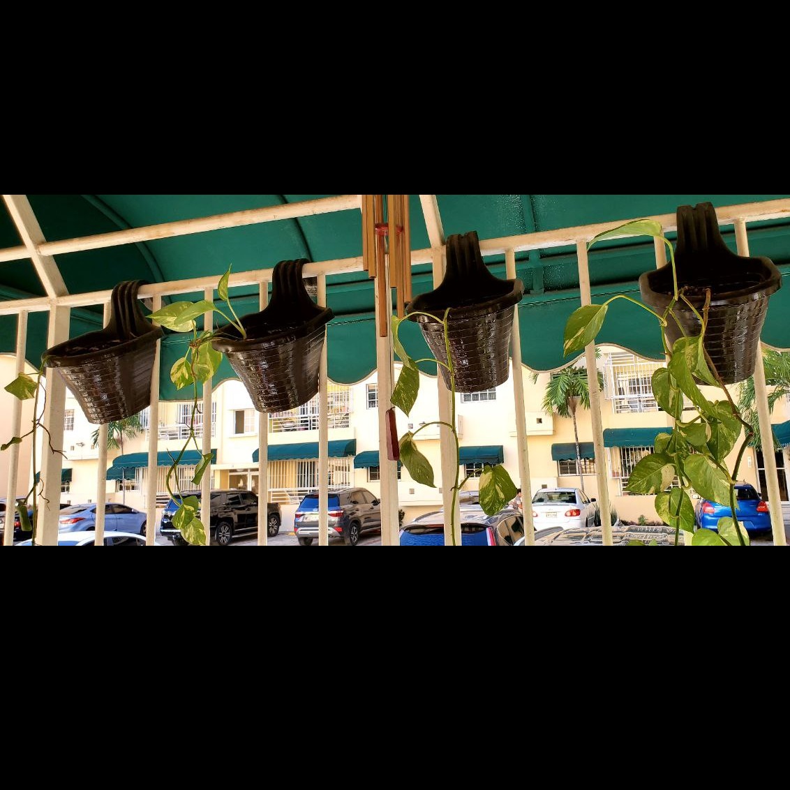 herramientas, jardines y exterior - Macetas para colgar / enganchar (Incluye plantas) 8