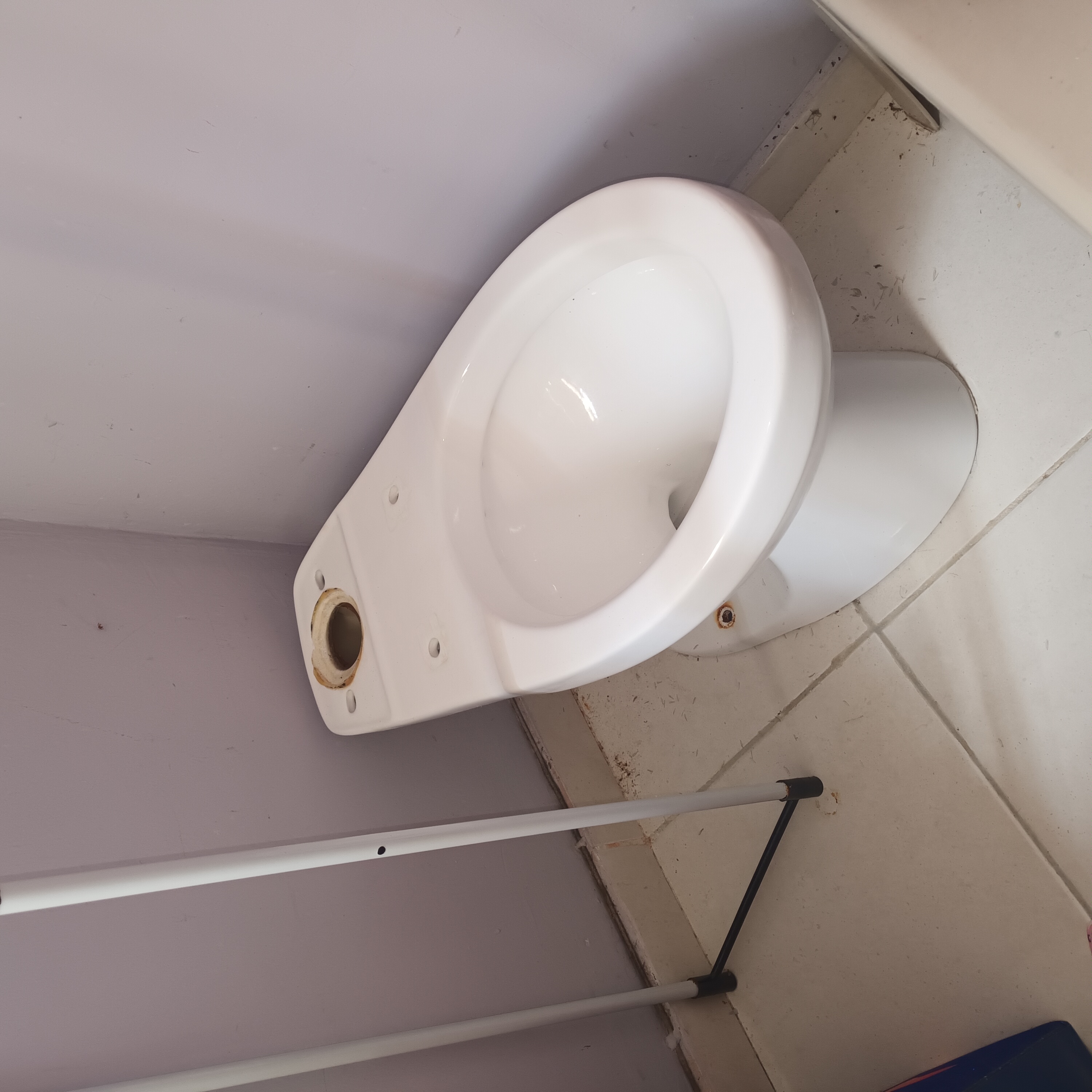 decoración y accesorios - Inodoro 1