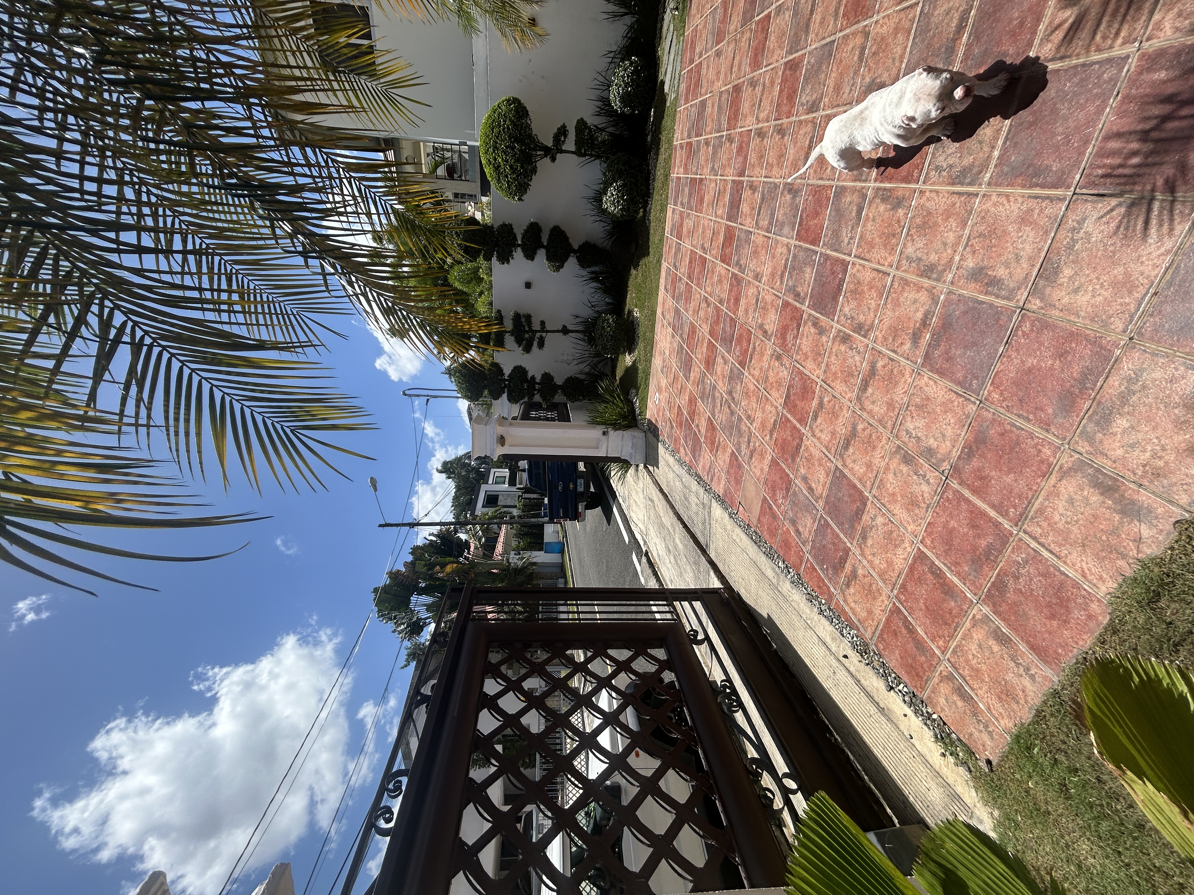 casas - Casa en venta en Isabel Villas Arroyo Hondo  6