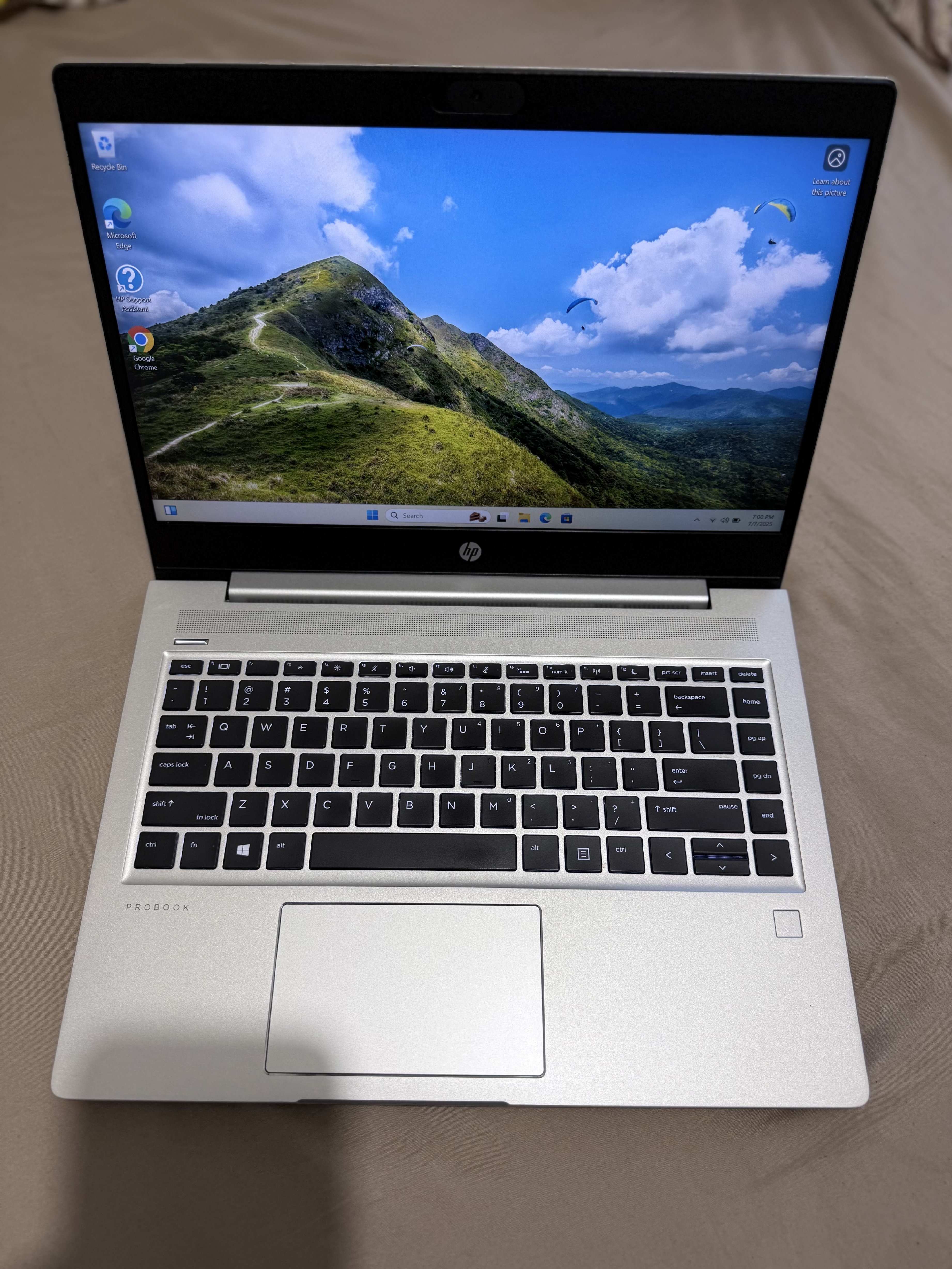 computadoras y laptops - laptop hp probook RYZEN 32Gb ram 