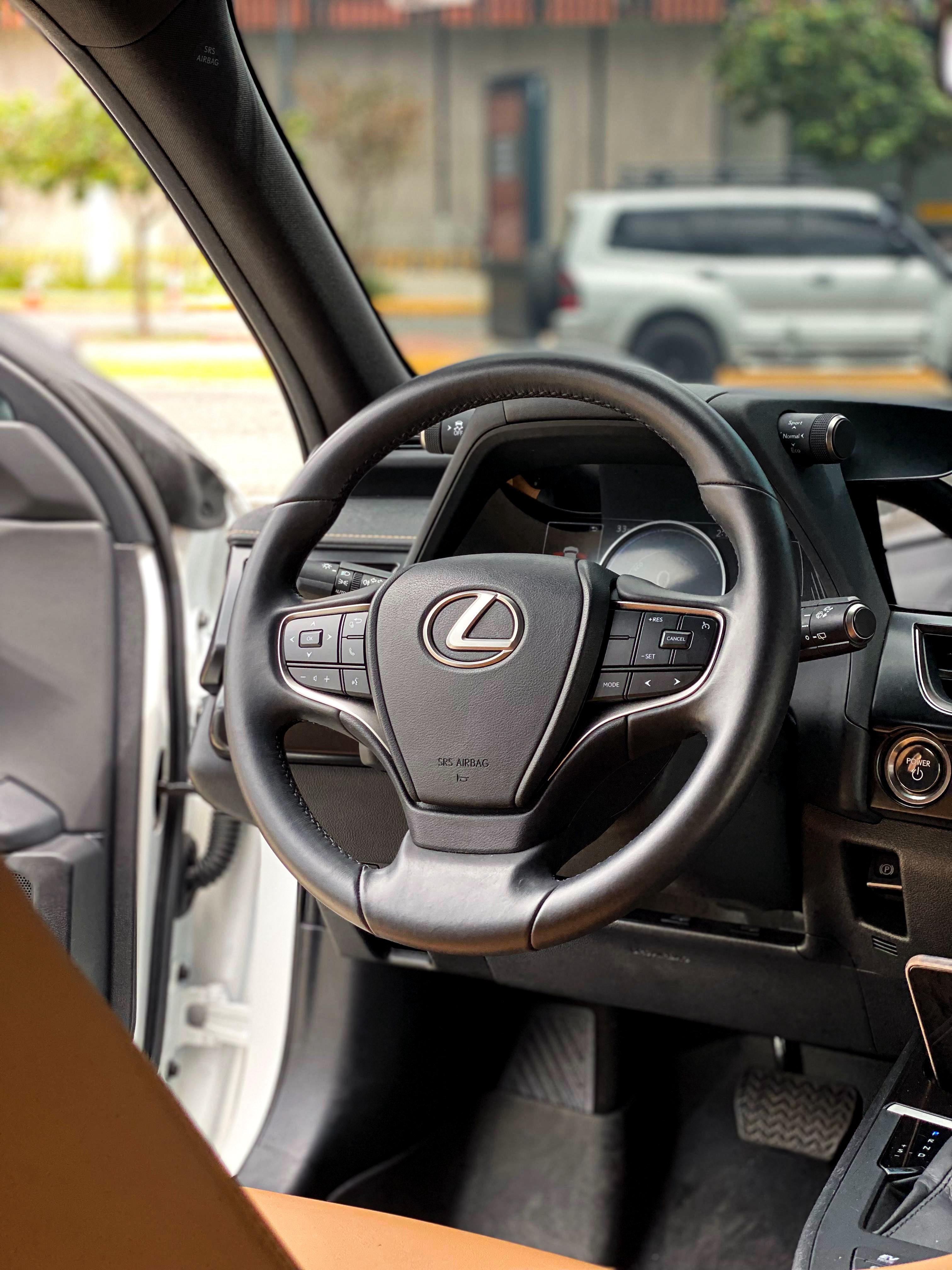 jeepetas y camionetas - Lexus UX250h 2024 NO IMPORTA EL CREDITO 1