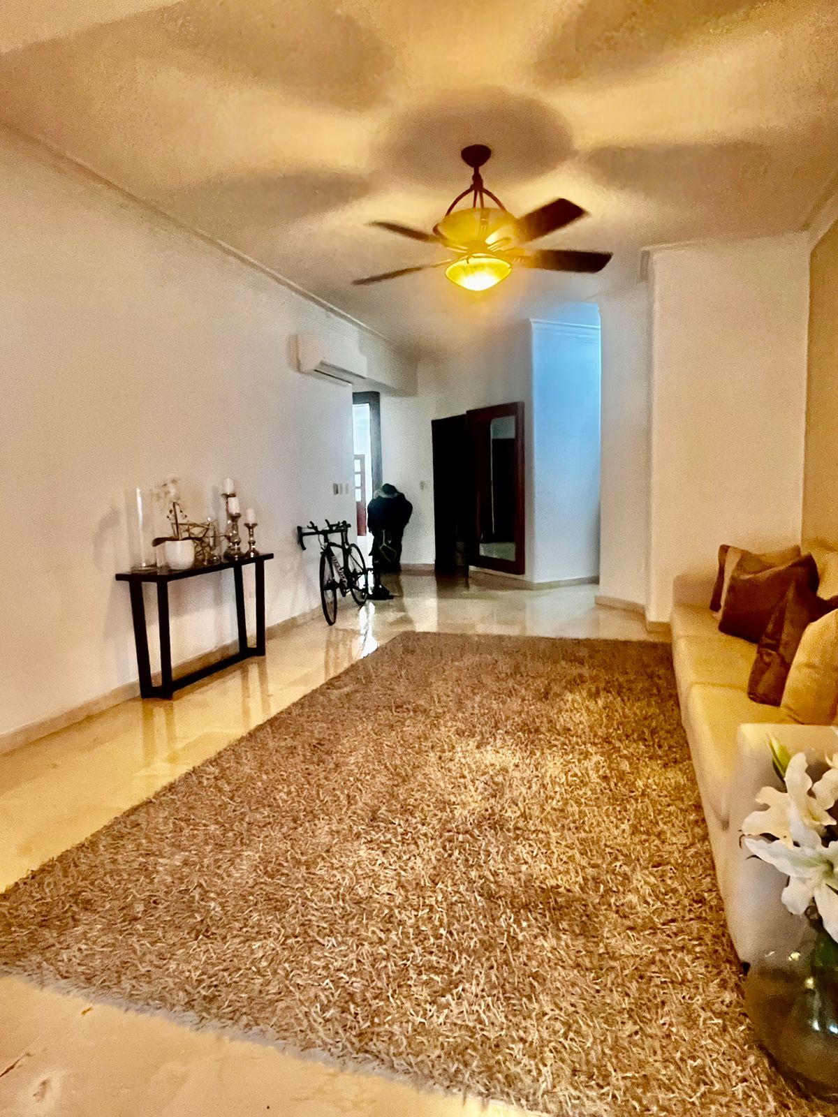 apartamentos - ALQUILO APARTAMENTO EN PIANTINI 260 MTS 7