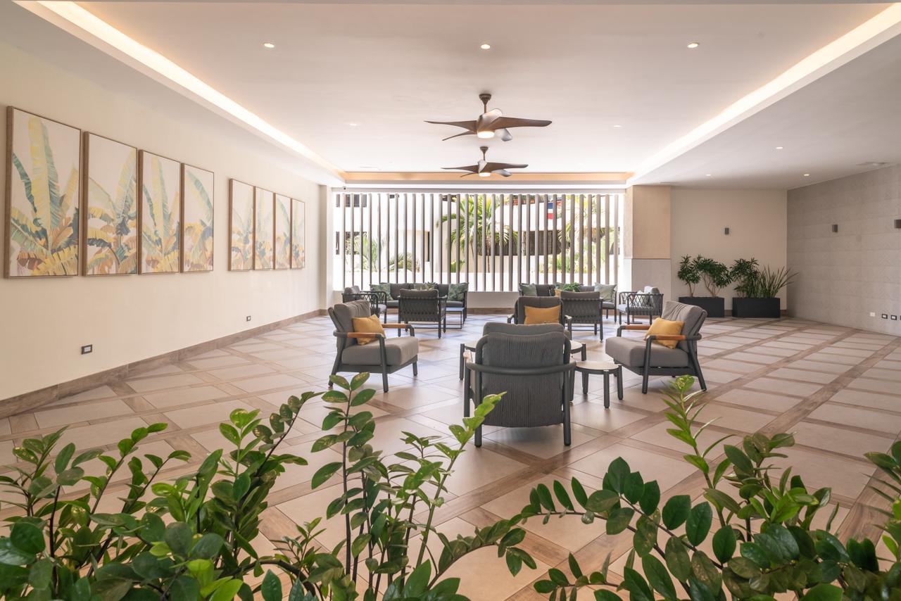 apartamentos - Apartamento en alquiler  1