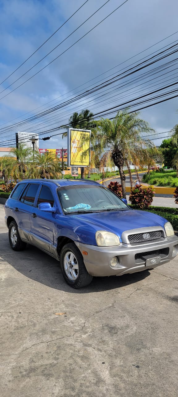 jeepetas y camionetas - Hyundai Santa Fe 2004 Gasolina/Gas 0
