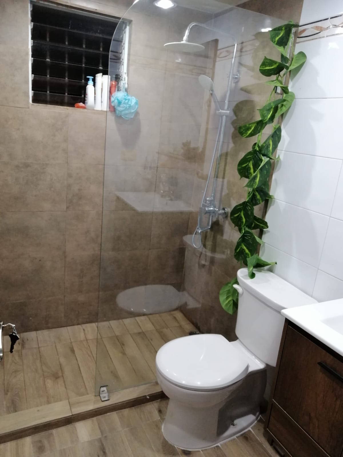 apartamentos - Apartamento en renta en El Millon 3