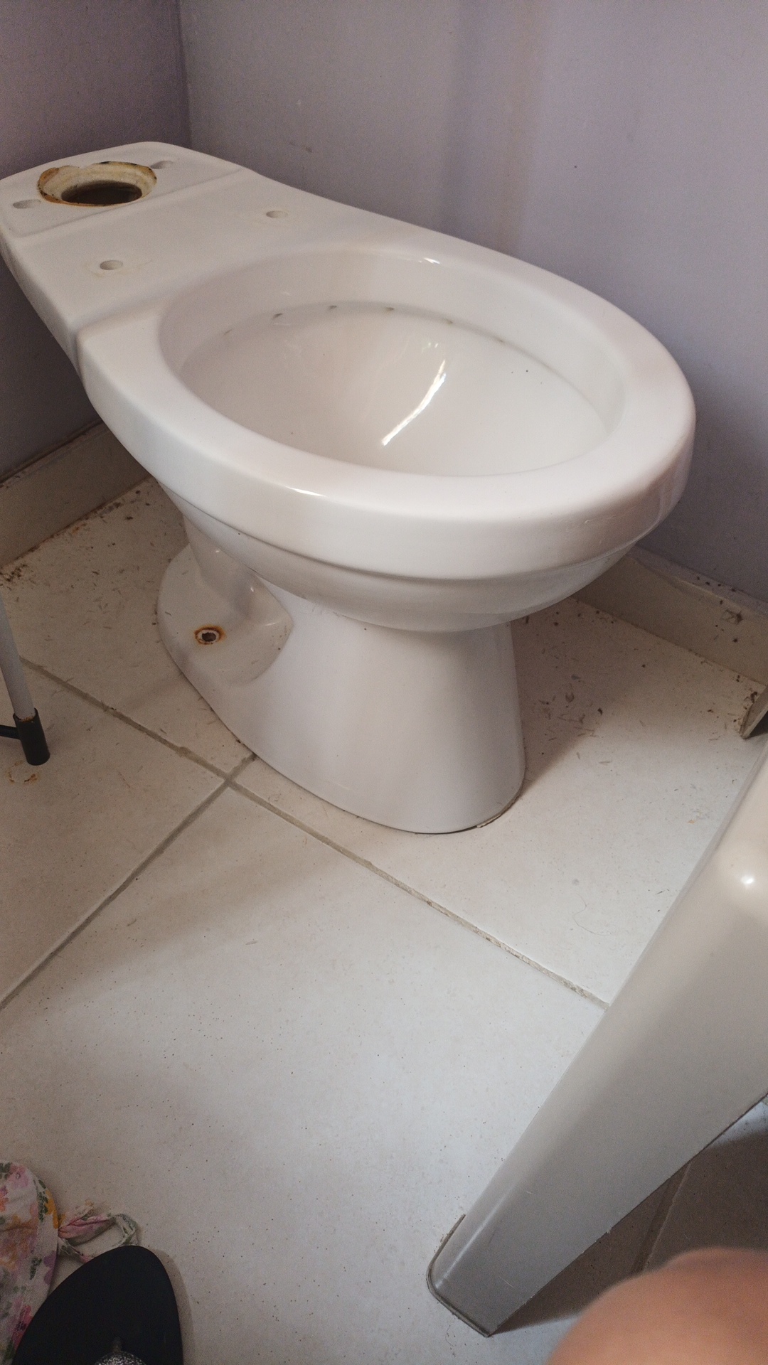 decoración y accesorios - Inodoro 2