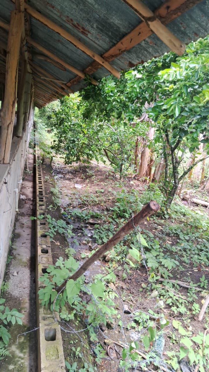 solares y terrenos - Finca en Venta en Don Juan de 25 Tareas de Oportunidad 📌 6