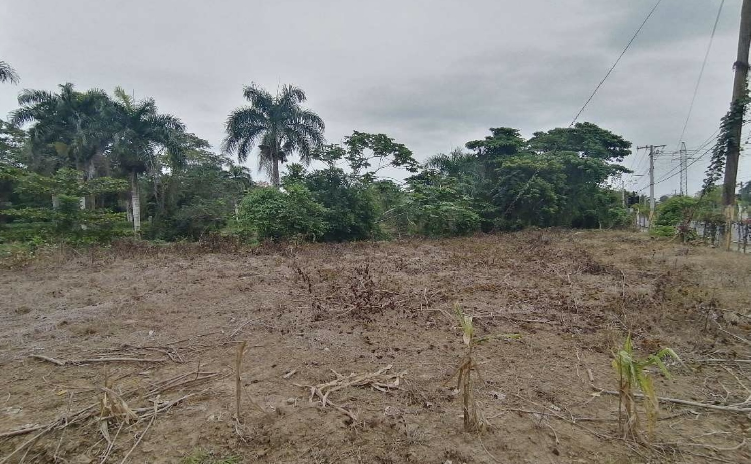 solares y terrenos - Terreno en Venta en Castillo, Salida a Nagua 5