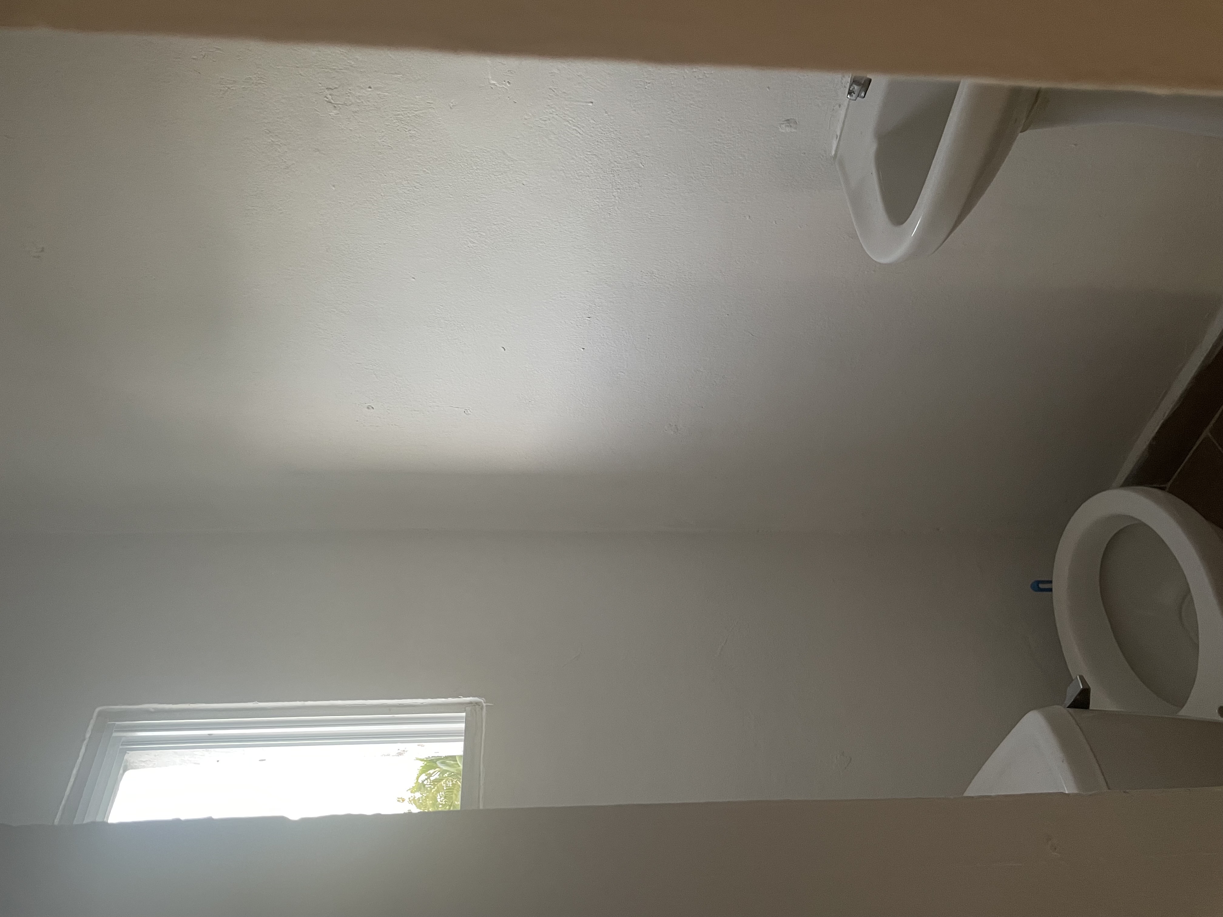 apartamentos - alquiler de aparta estudio  6