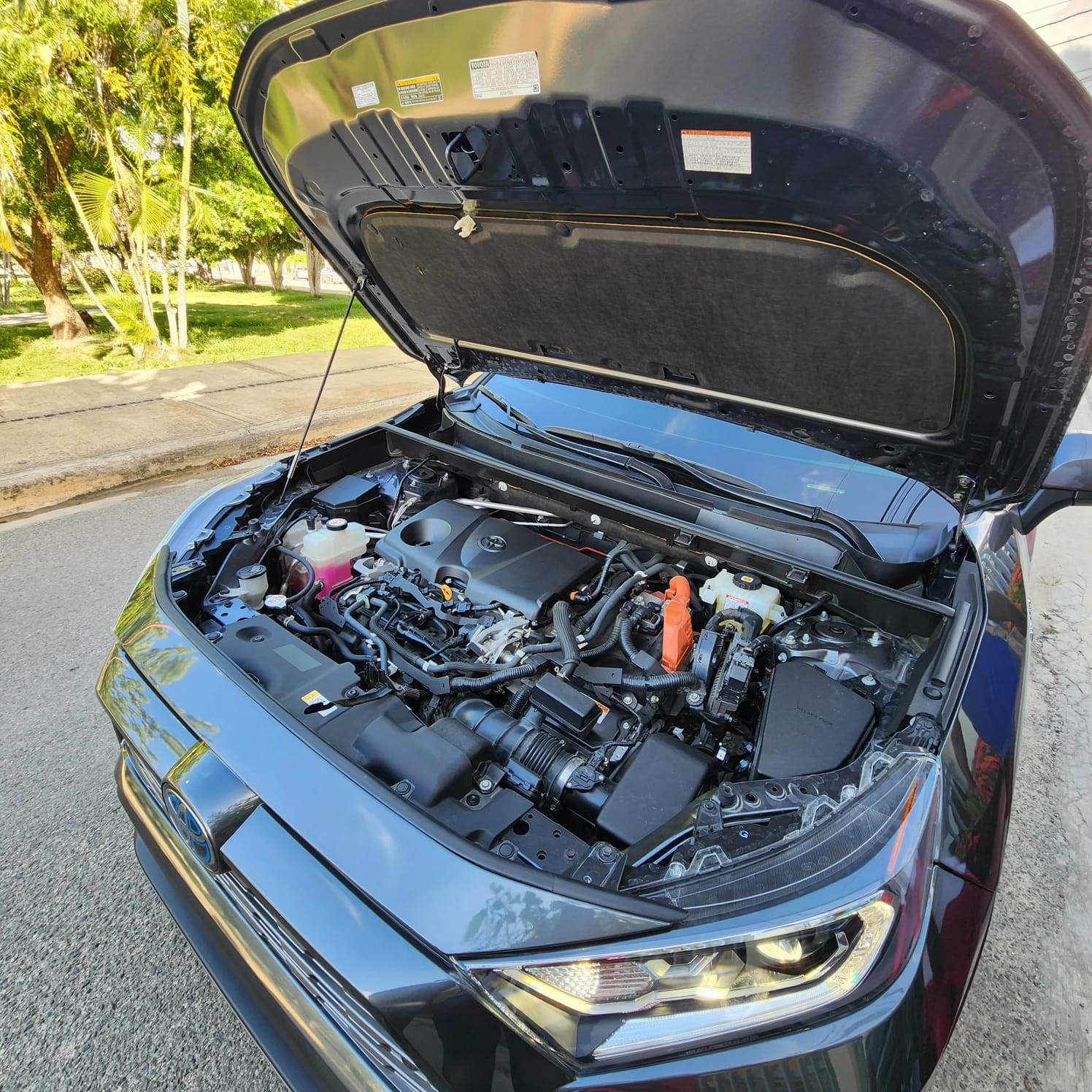 jeepetas y camionetas - 2021 TOYOTA RAV4 HIBRIDA LIMITADA 8