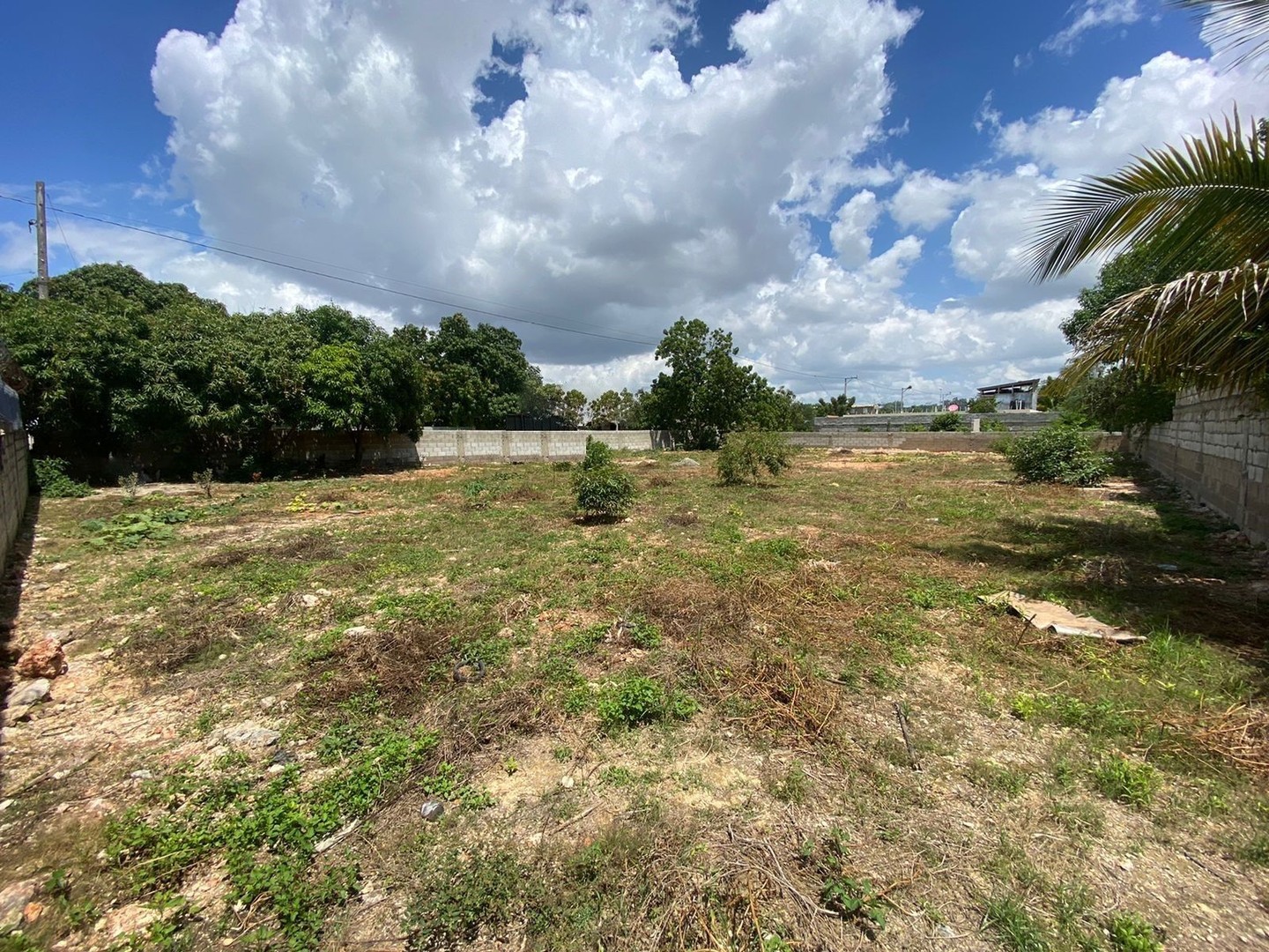 solares y terrenos - Solar en venta en la Aut. Las Americas de 505m2 0