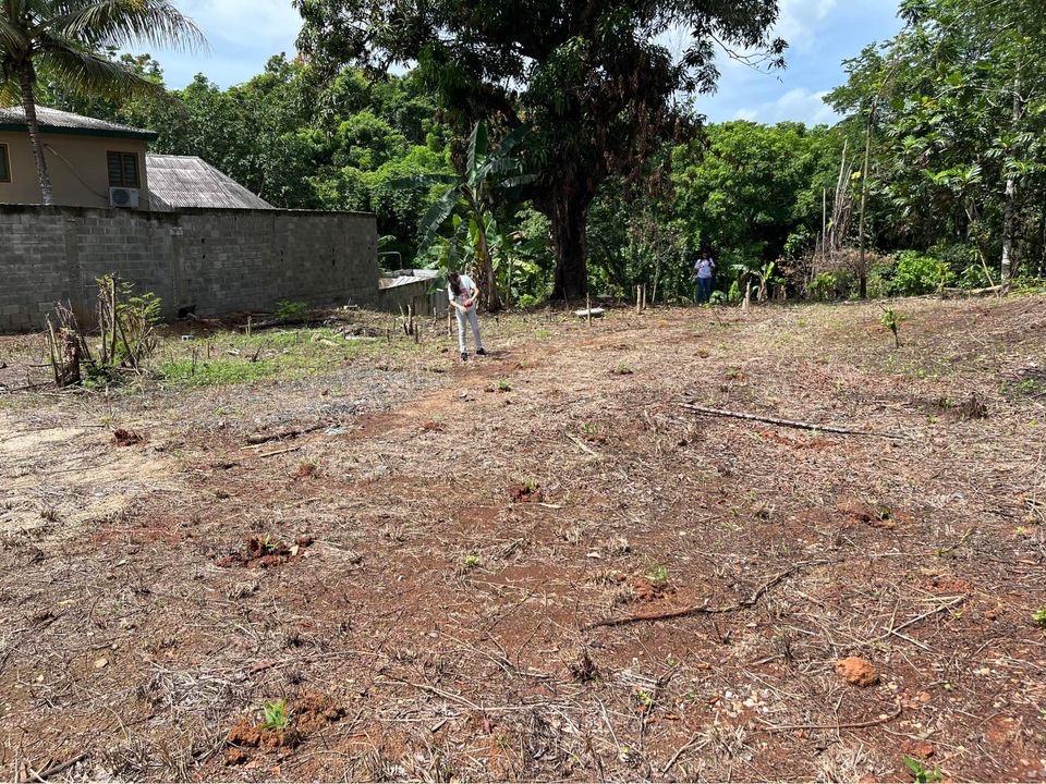 solares y terrenos - Terreno  en vacacional La Isabela, Pedro Brand, entrando por la aut. Duarte 3