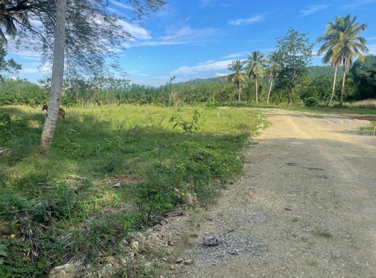 solares y terrenos - VENTA 8 SOLARES CON CONCEPTO RESIDENCIAL – PIEDRA BLANCA BONAO 4