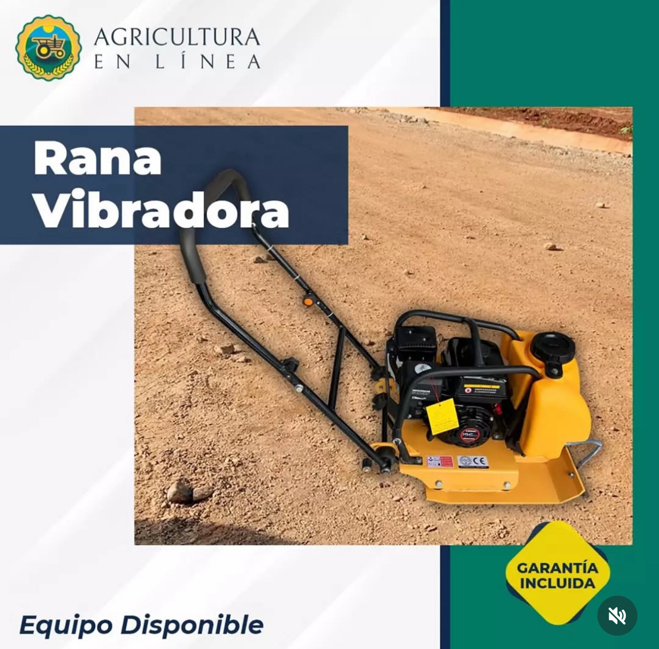 equipos profesionales - ranita vibradora  0