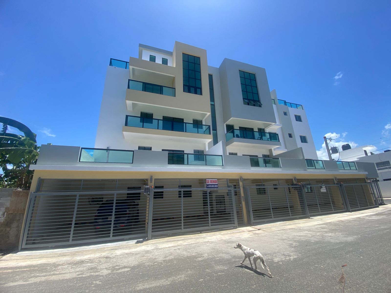penthouses - Penthouse en Prado Oriental Nuevo  1