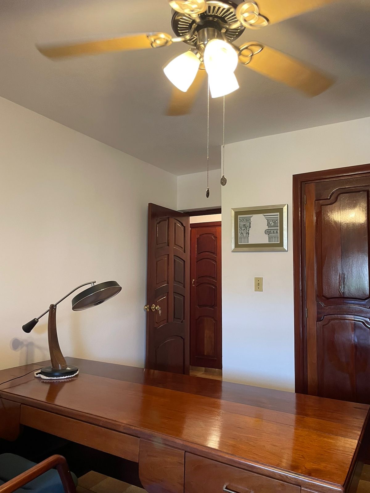 apartamentos - *Se vende Apartamento Clásico* Bella Vista Sur  Te 9