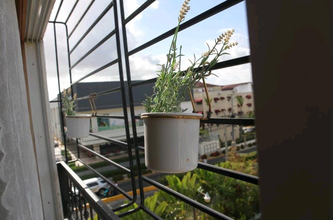 apartamentos - Apartamentos nuevos en Ciudad Real 2