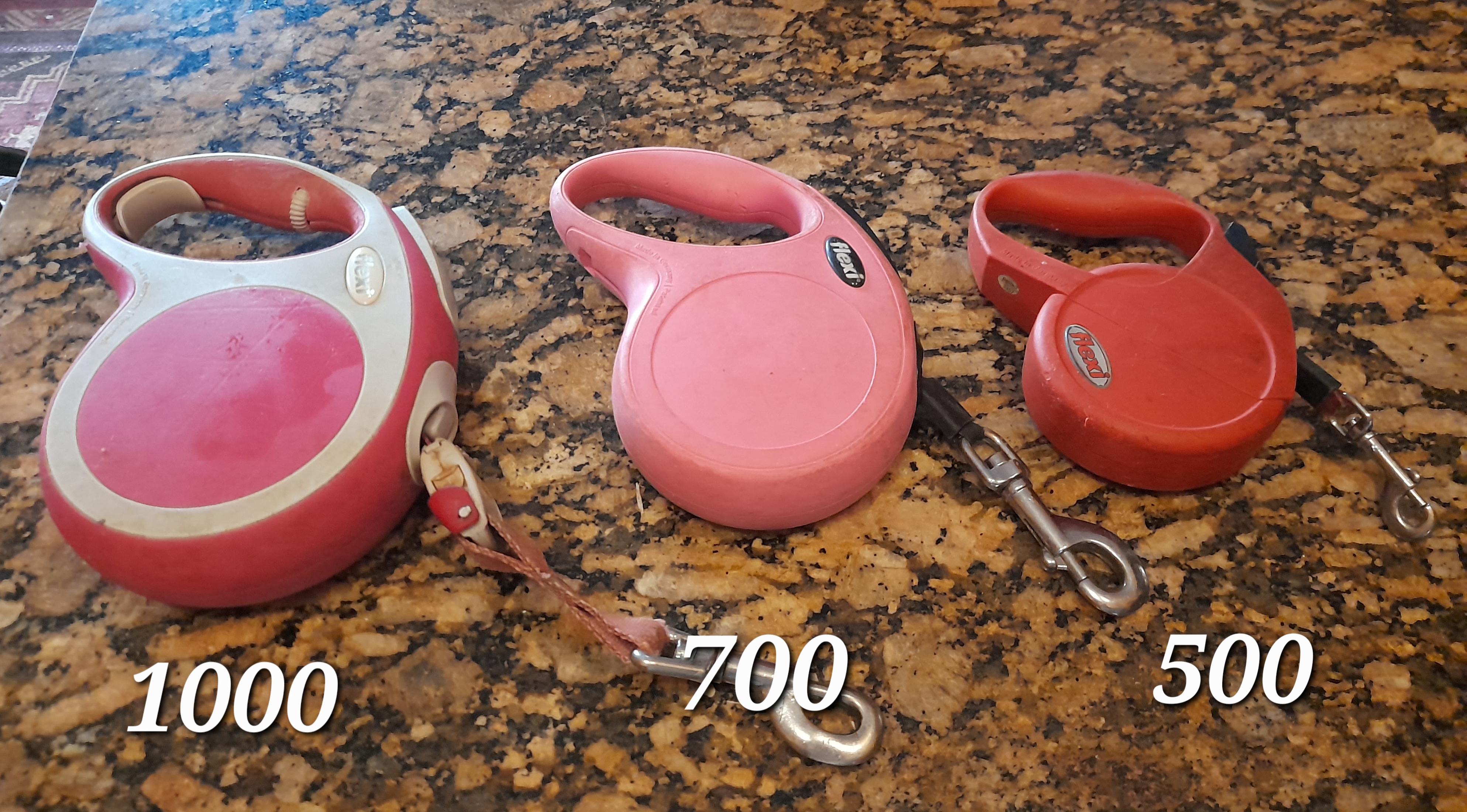 animales y mascotas - Correas para perros  5