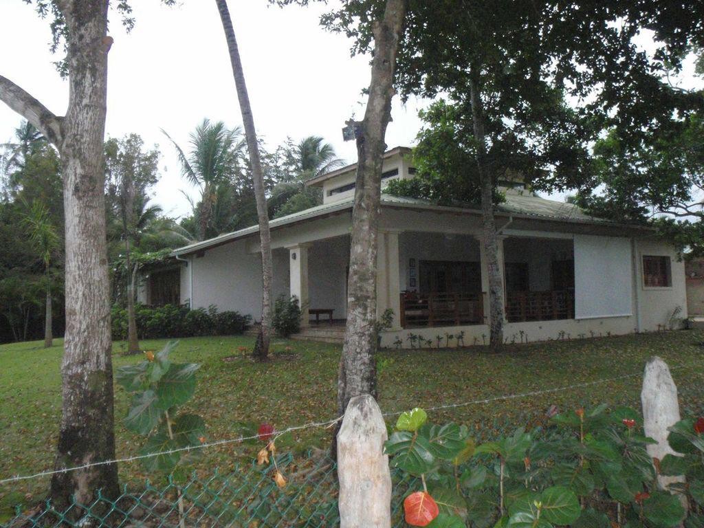 solares y terrenos - Solar en venta en Las Terrenas  2
