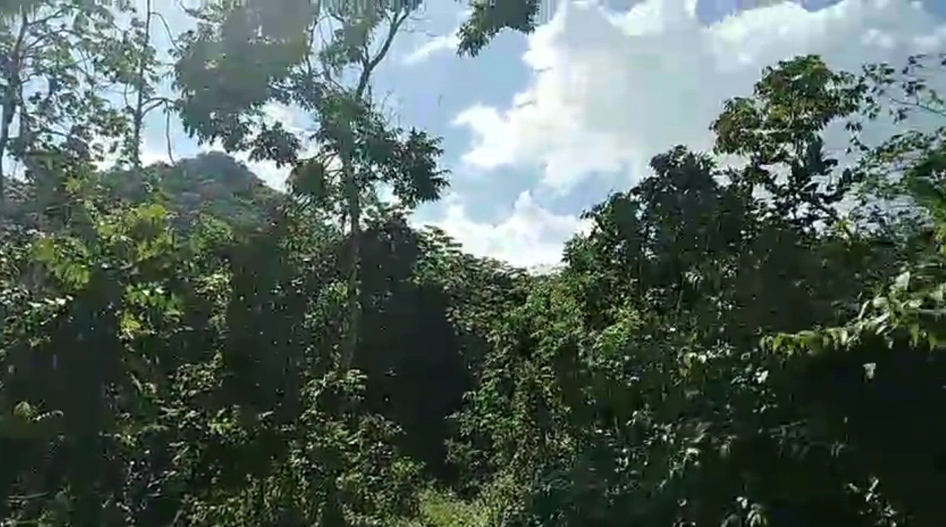 solares y terrenos - Terreno en La Cumbre, Bonao, ideal para villa/hote 2