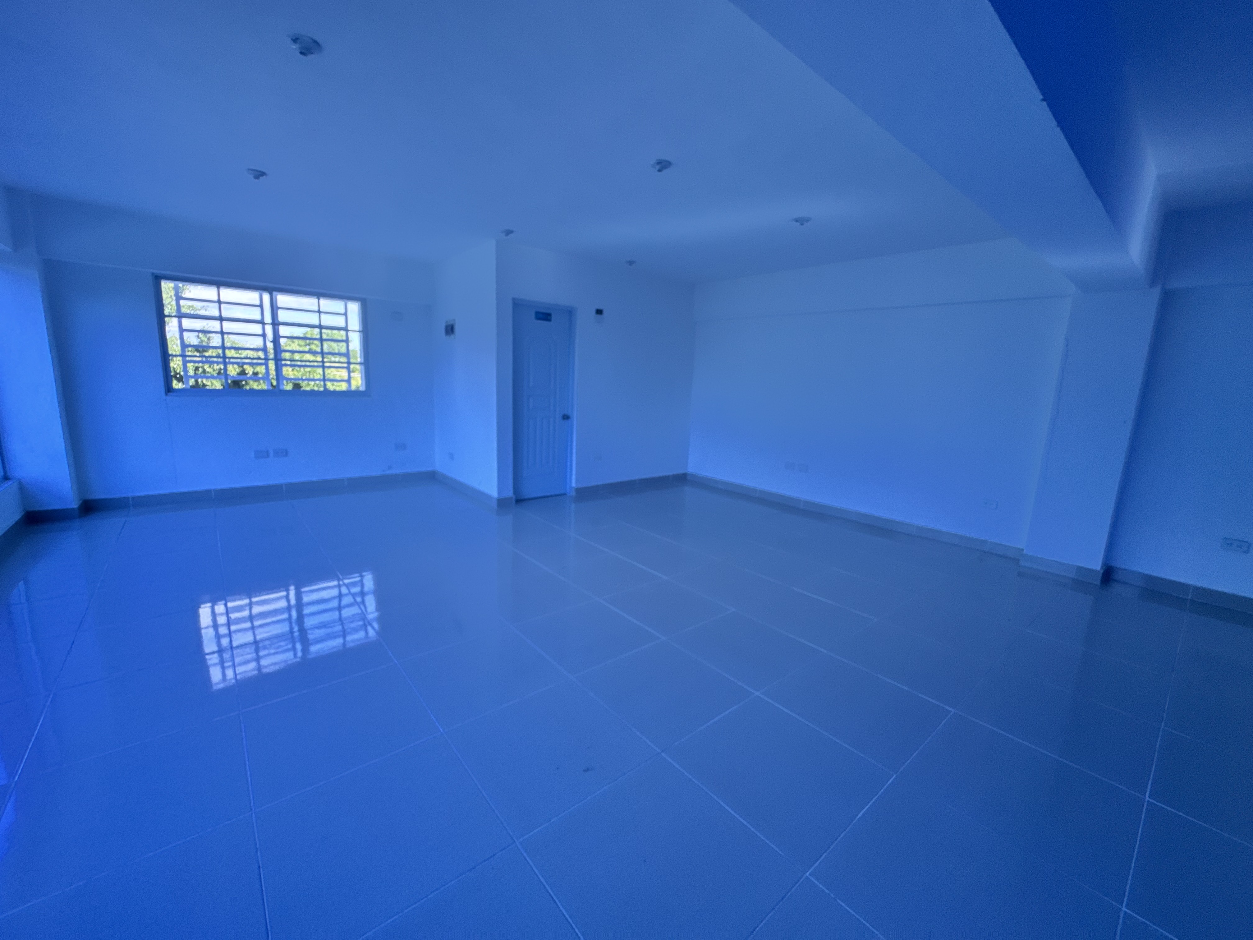 oficinas y locales comerciales - local comercial  1