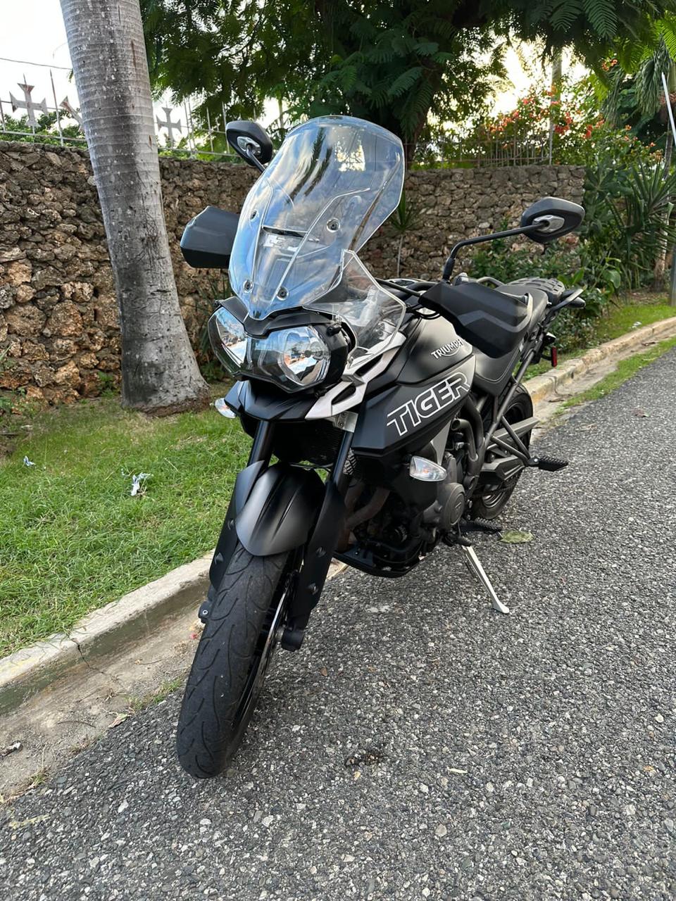 motores y pasolas - TRIUMPH TIGER XRx 2