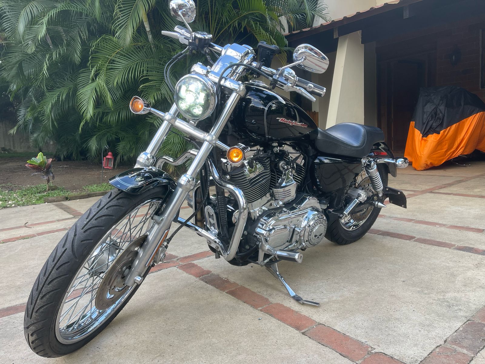 motores y pasolas - Harley Davidson Sporster XLC  2
