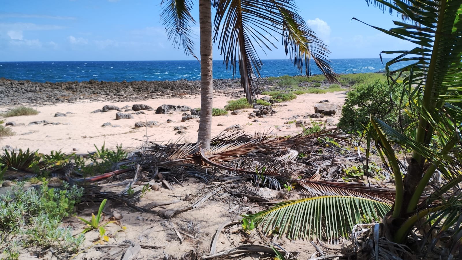 solares y terrenos - Terreno de venta en Las Talanqueras  de Samaná a 10 Min de Las Galeras 23 Rincón 2