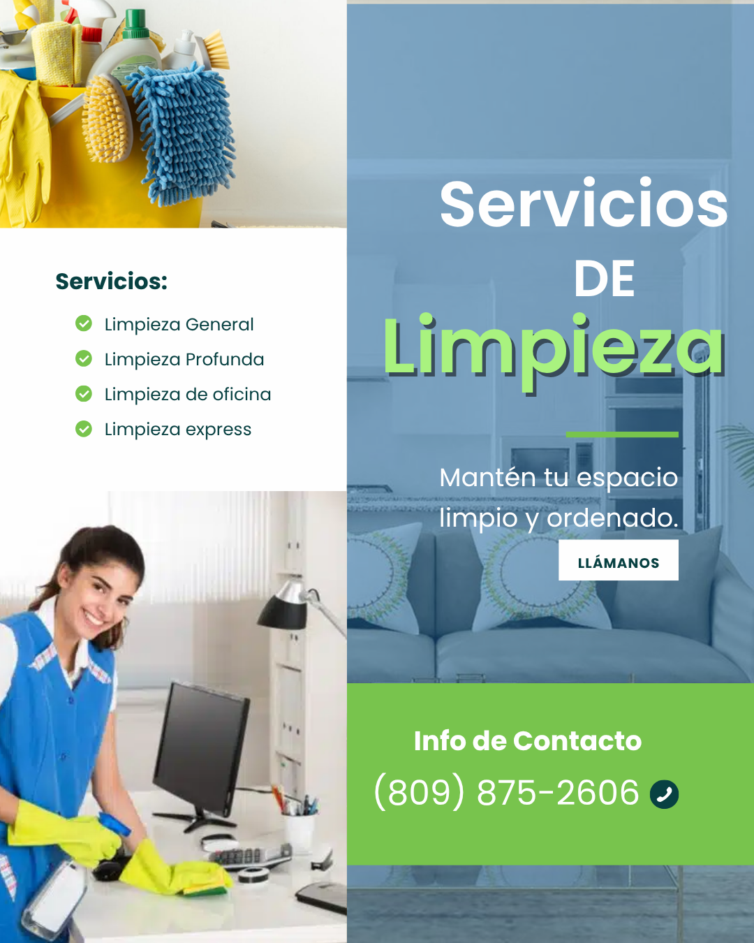 servicios profesionales - Lipieza de apartamentos y oficinas