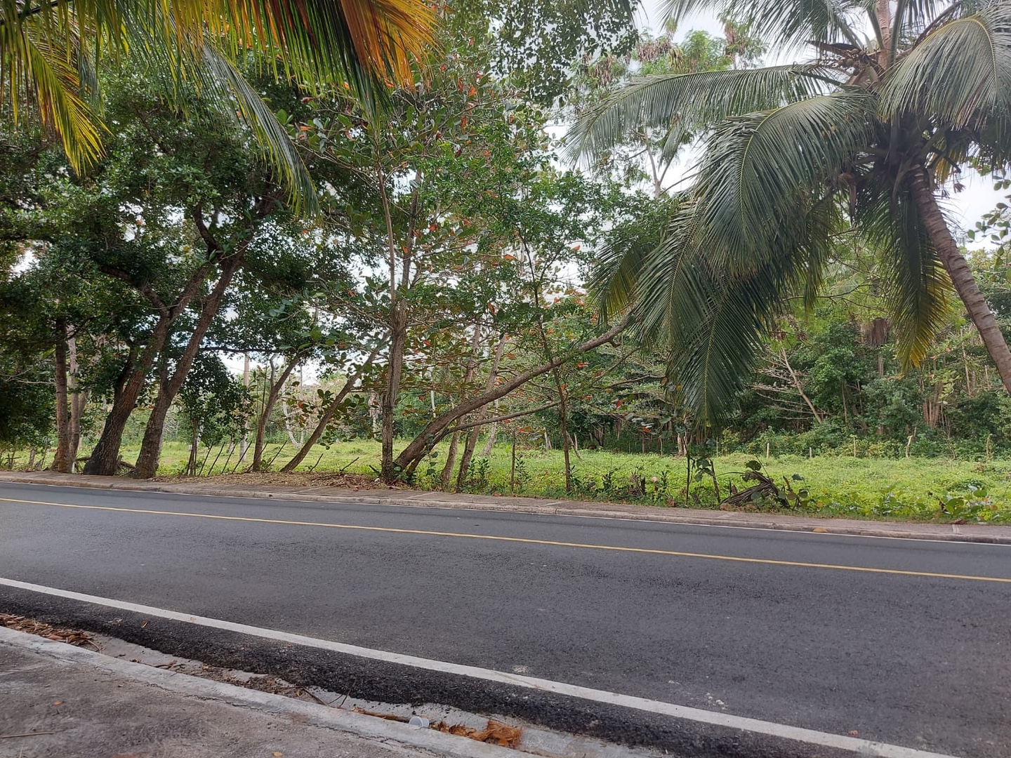 solares y terrenos - Samana las terrenas  1