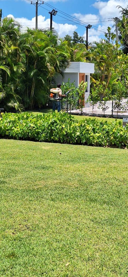 servicios profesionales - 🚫🐀 Fumigacion y control de plagas 24/7 🏠 Santo Domingo – ¡Llámanos ya! 5