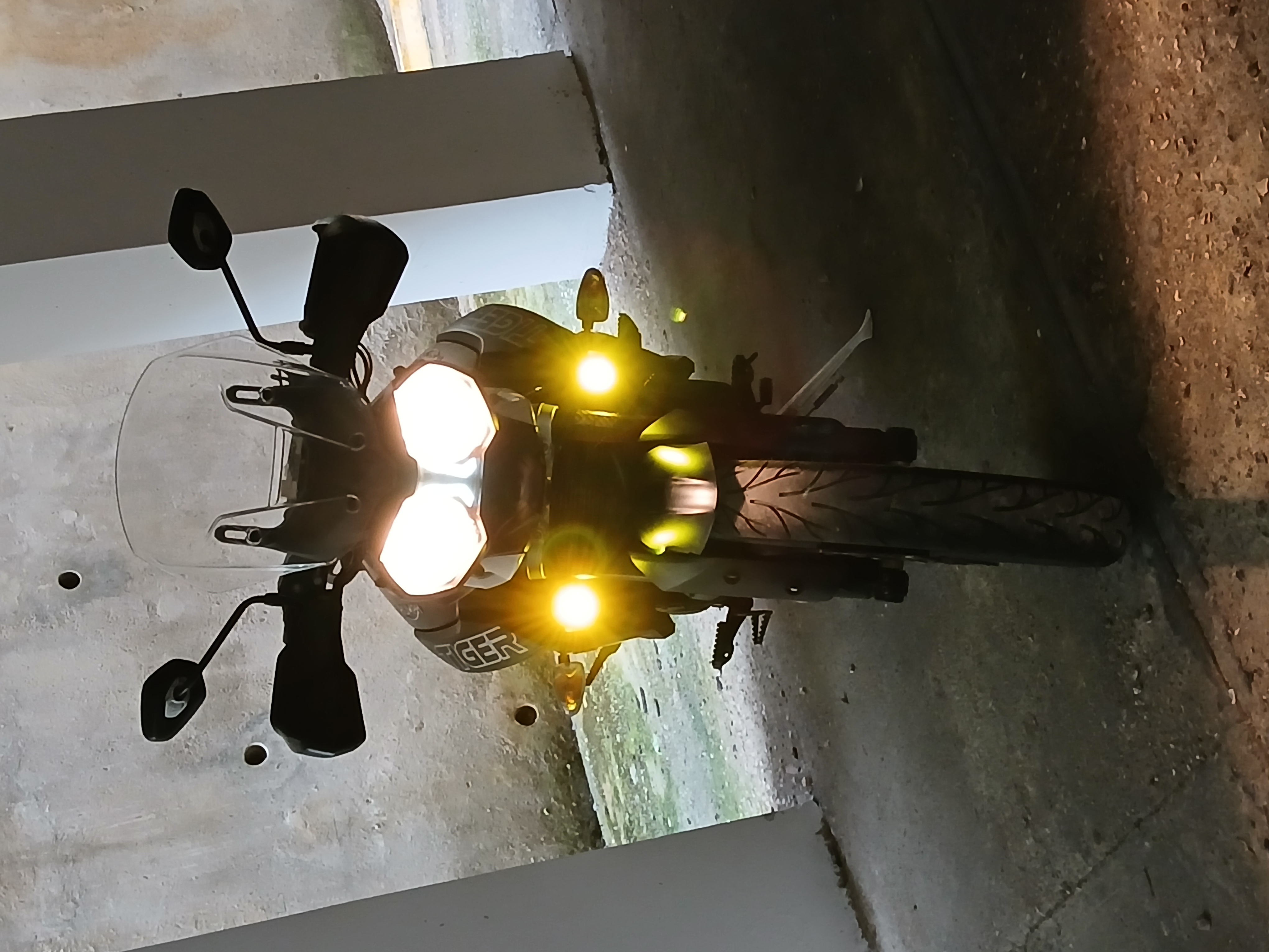motores y pasolas - TRIUMPH TIGER XRx 4