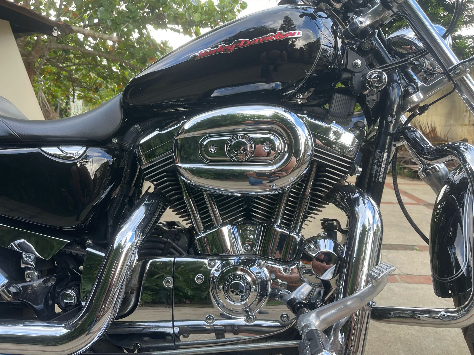motores y pasolas - Harley Davidson Sporster XLC  4