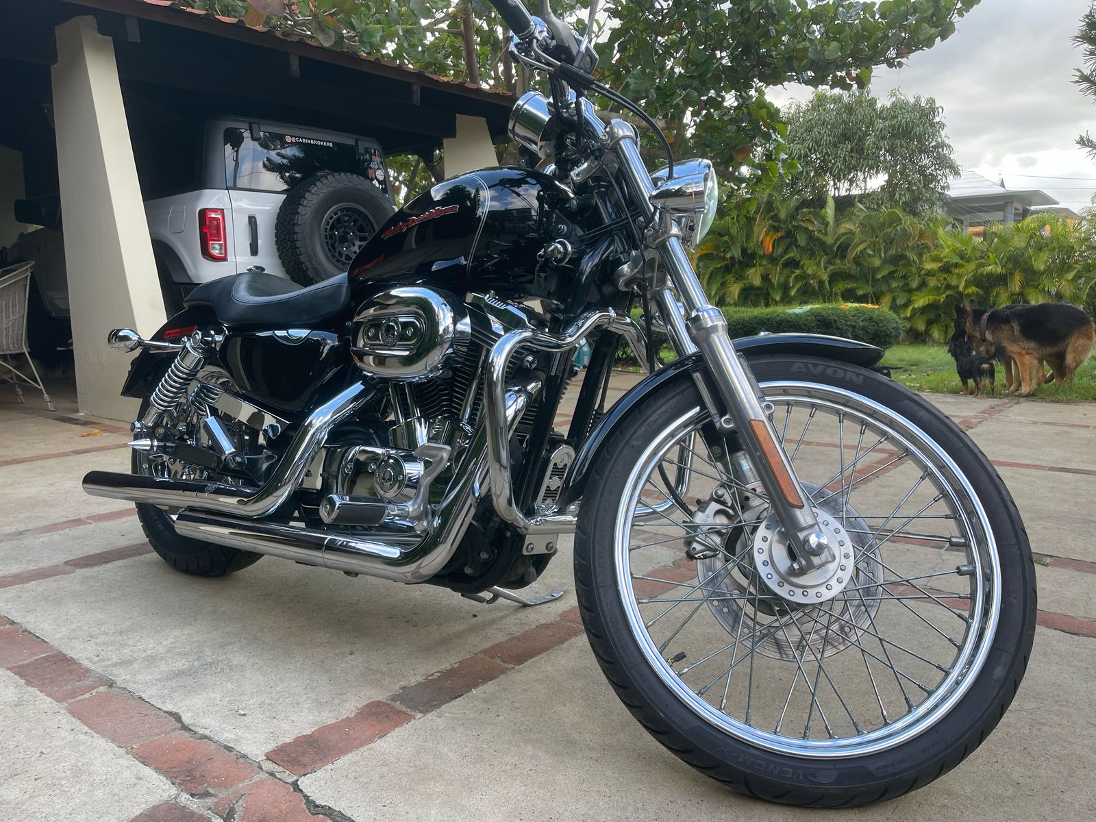 motores y pasolas - Harley Davidson Sporster XLC  6
