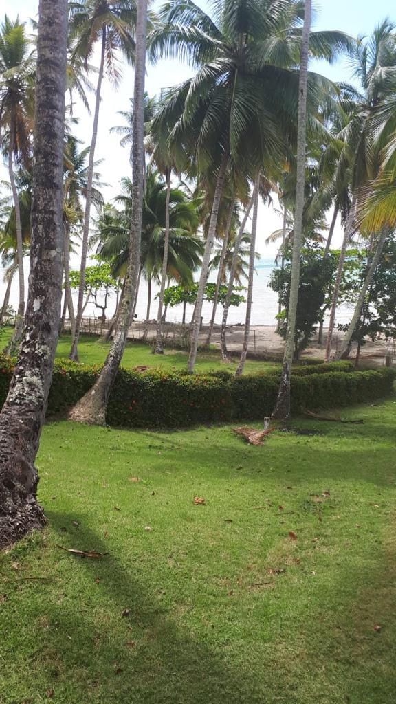 solares y terrenos - Vendo en Sánchez Samana  2