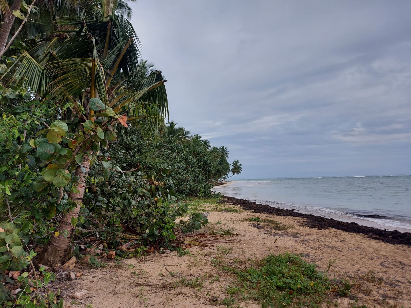 solares y terrenos - Samana las terrenas  5