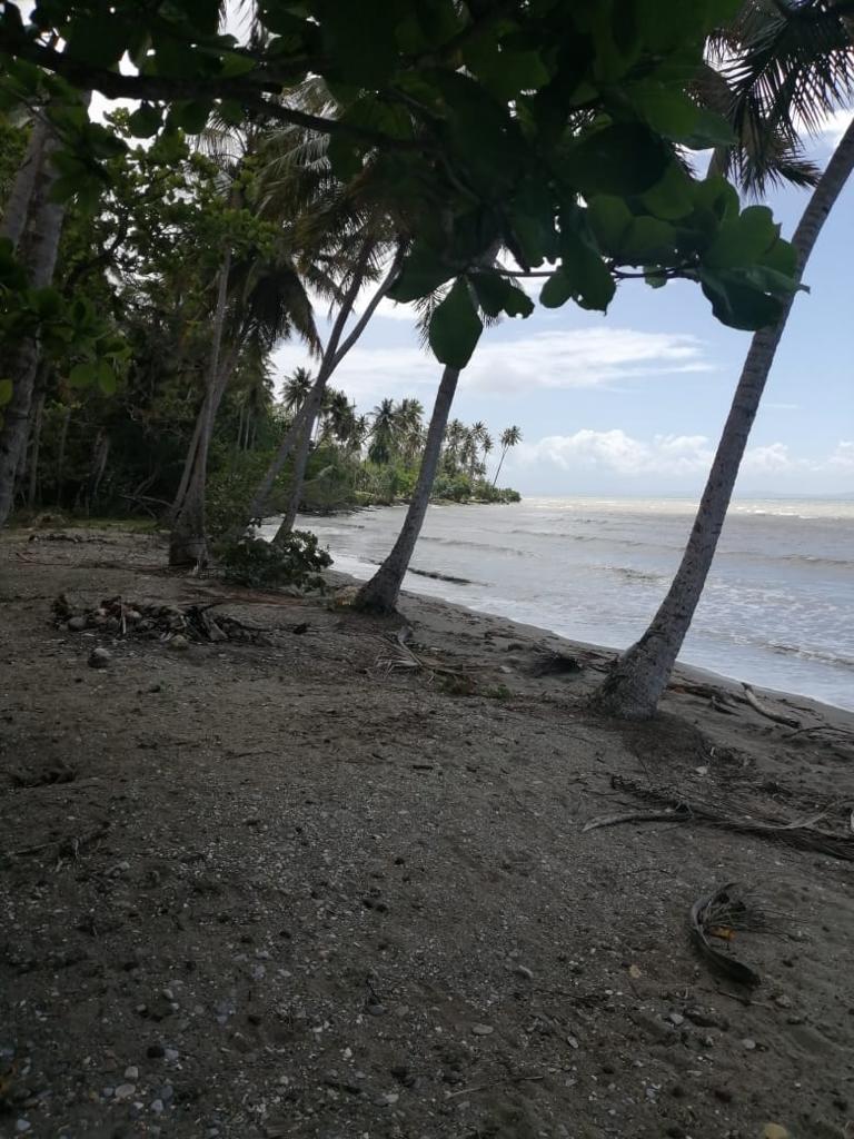 solares y terrenos - Sanchez samana vendo terreno con playa  2
