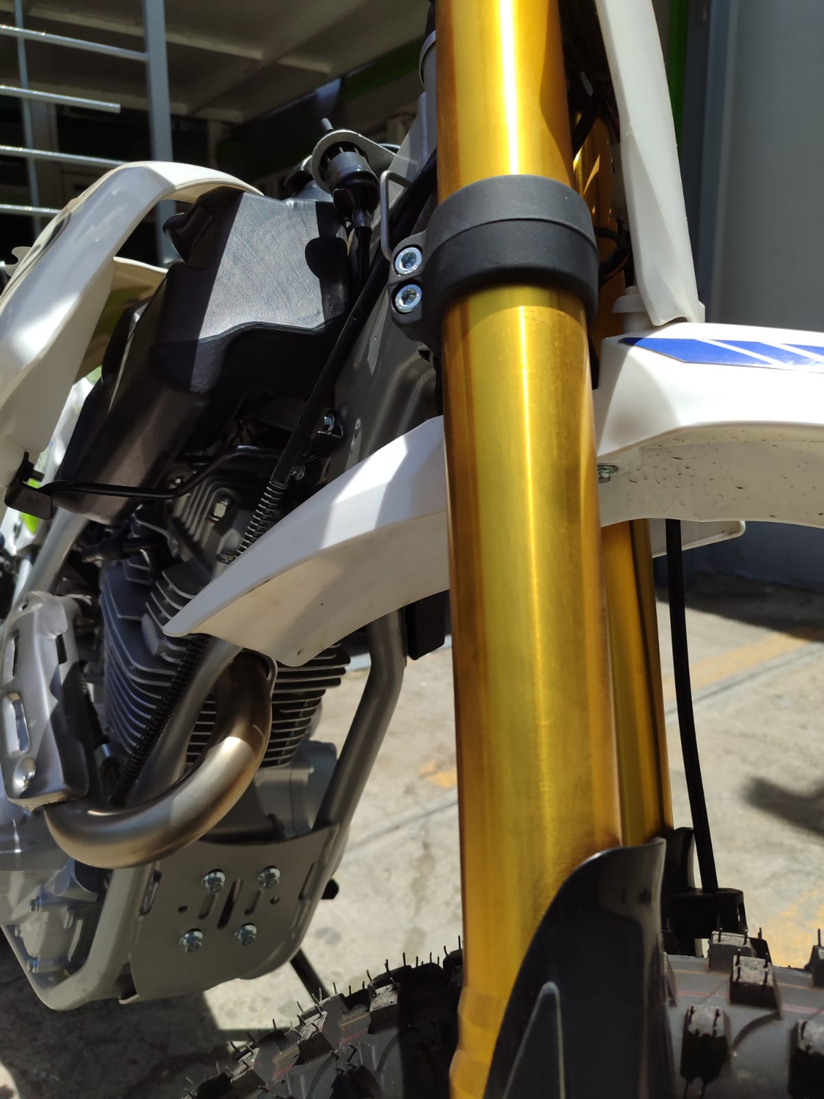 motores y pasolas - Gato bengala 250 en oferta con financiamiento 1