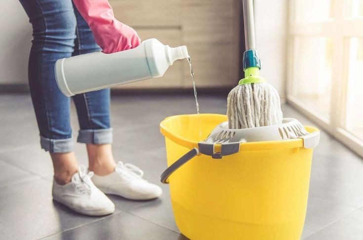 servicios profesionales - limpieza de apartamento, casa y más por día. 1