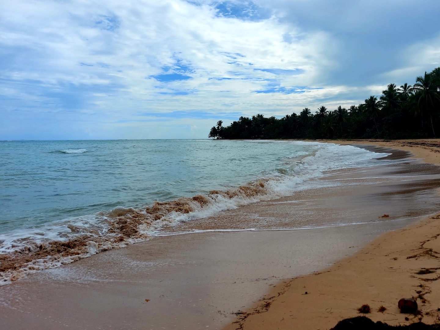 solares y terrenos - Samana las terrenas  6