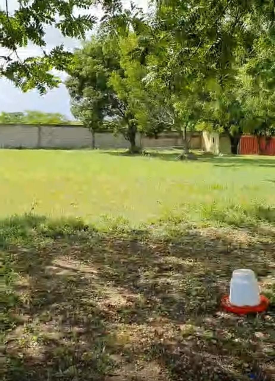 solares y terrenos - Solar en venta en Boca Chica 6