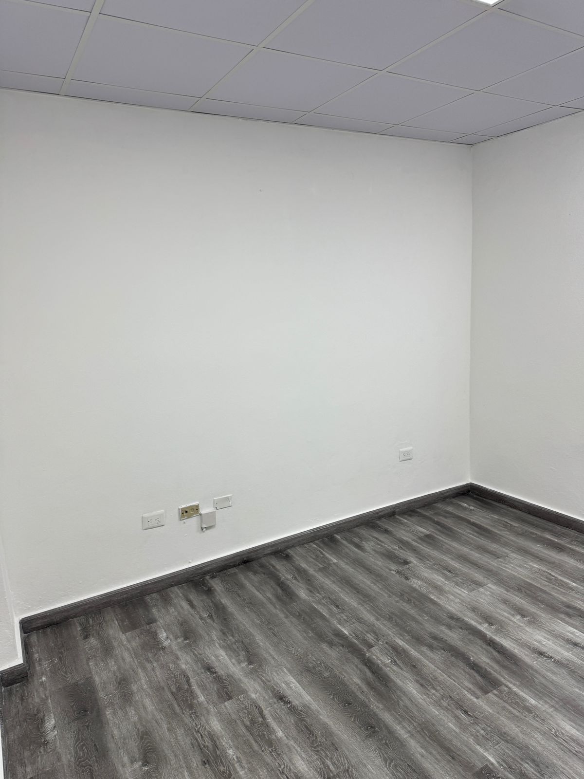 oficinas y locales comerciales - LOCAL COMERCIAL EN CENTRO MEDICO GAZCUE 3
