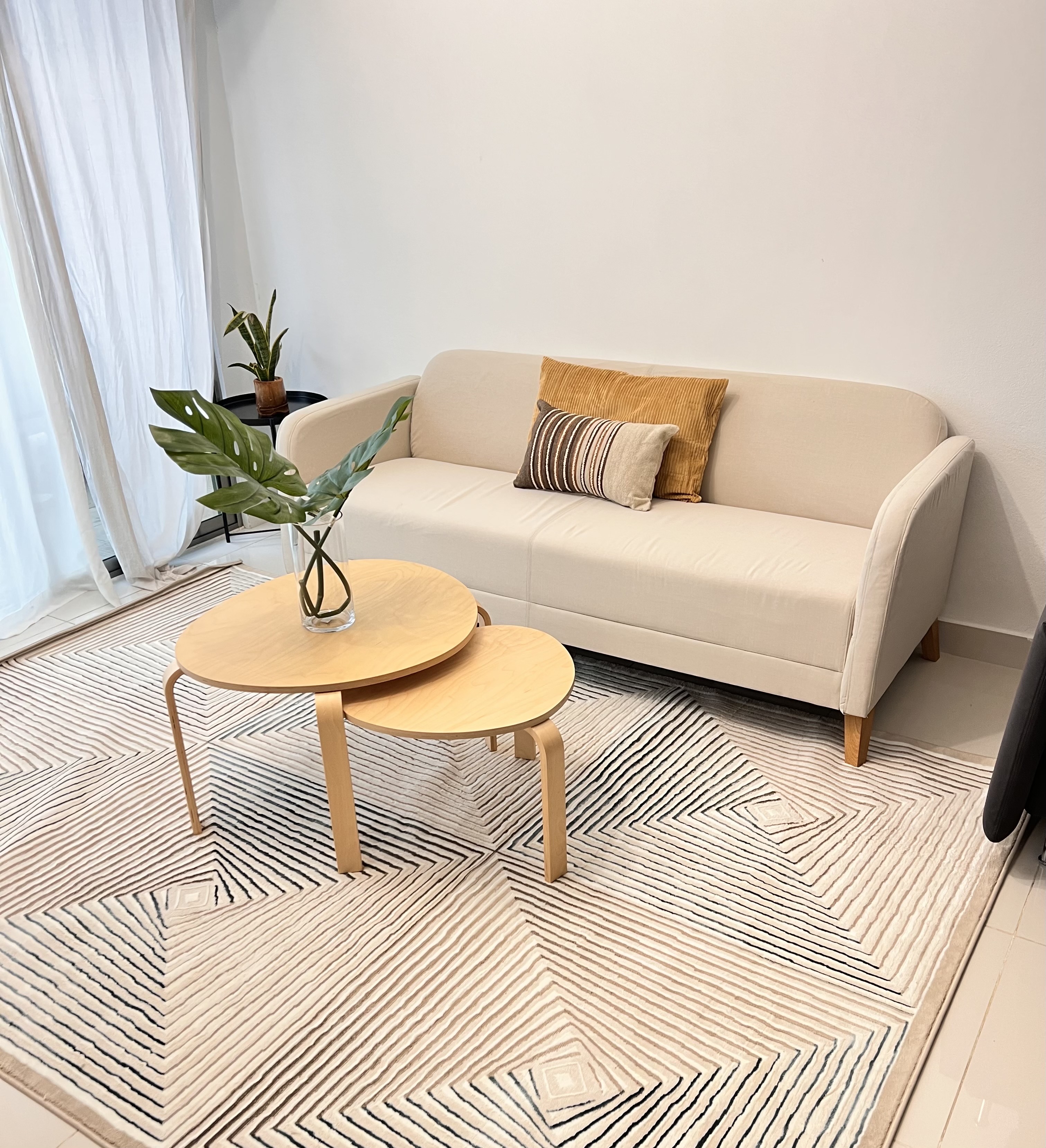decoración y accesorios - Alfombra de casa cuesta 6x9 pies 0