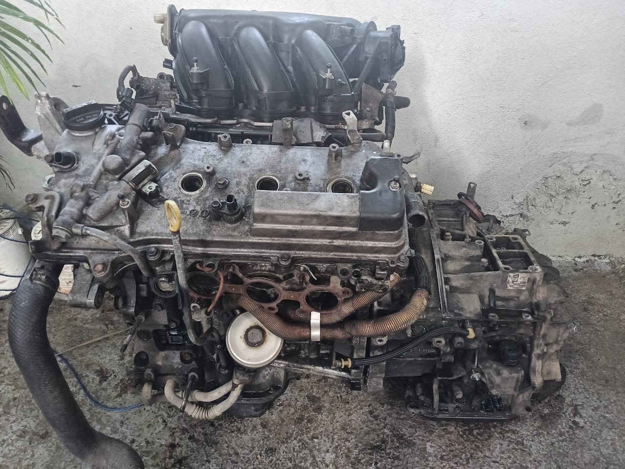 repuestos - Motor 3