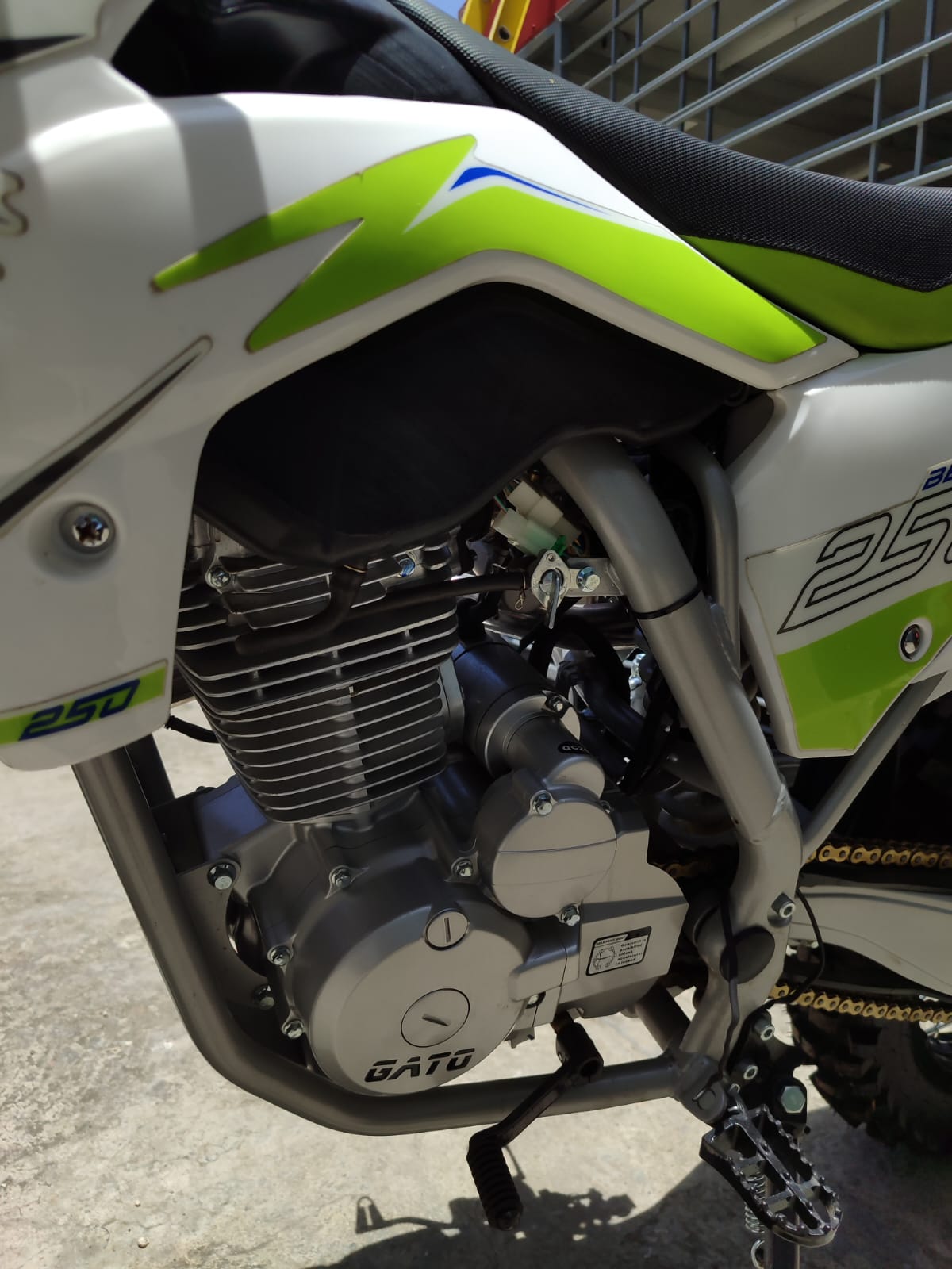 motores y pasolas - Gato bengala 250 en oferta con financiamiento 6