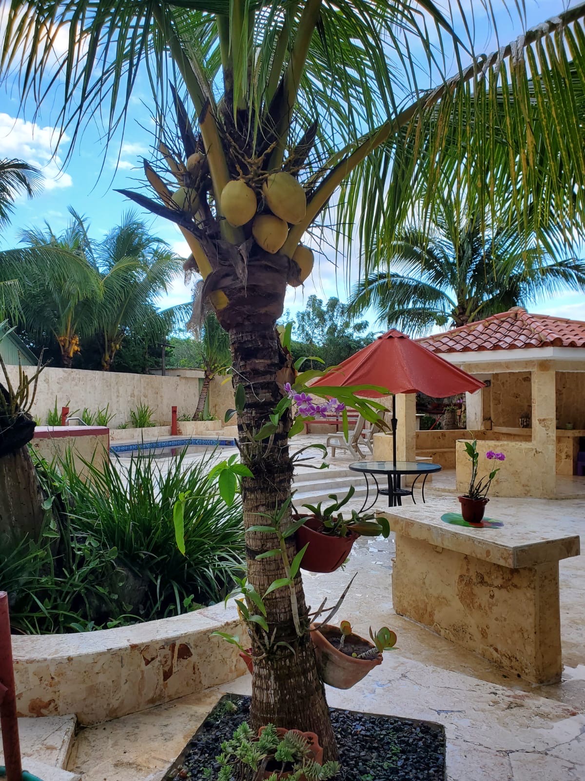 casas vacacionales y villas - venta de Villa en Cumayasa entre Juan dolió y la Romana a 500m2 de la playa  6