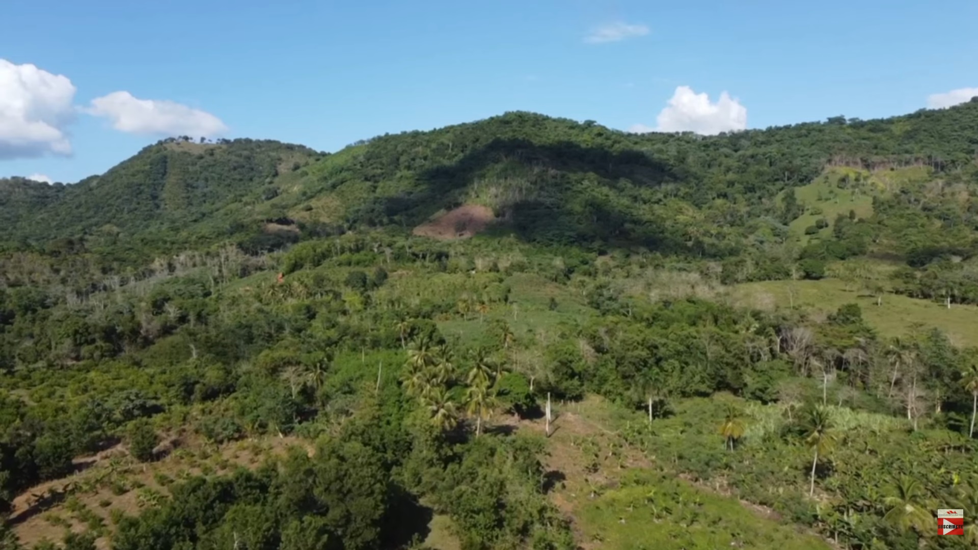 otros inmuebles - Finca de 1500 tareas con casa grande en Yamasa 6